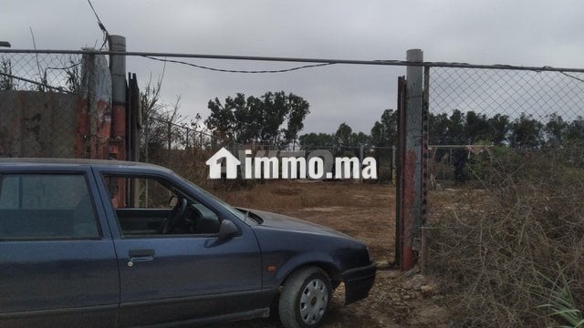 Sidi rahal - Vente Immobilier - Casablanca - photo 6