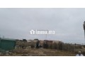 sidi-rahal-small-0