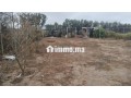 sidi-rahal-small-3