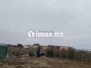 sidi-rahal