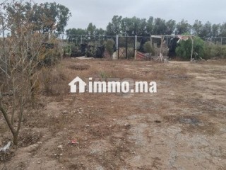 Sidi rahal - Terrain à vendre - Casablanca