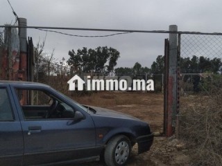 Sidi rahal - Terrain à vendre - Casablanca