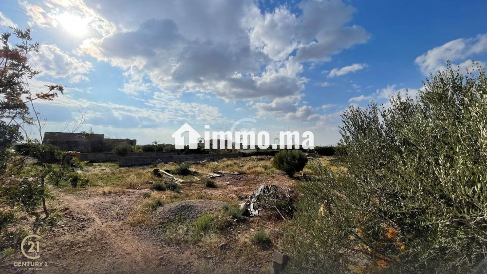 Ideal investisseur terrain 1 ha route d'ourika km 8 - Vente Immobilier - Marrakech - photo 3
