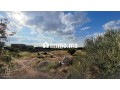 ideal-investisseur-terrain-1-ha-route-dourika-km-8-small-2