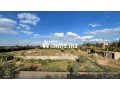 ideal-investisseur-terrain-1-ha-route-dourika-km-8-small-3