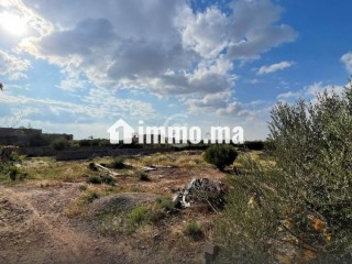 Ideal investisseur terrain 1 ha route d'ourika km 8 - Villa à vendre - Marrakech