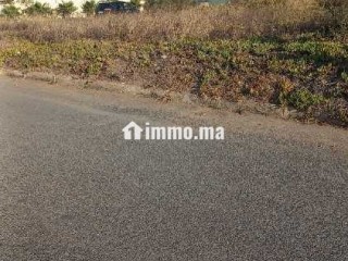 terrain-a-vendre-a-nassim-islane-446-m2