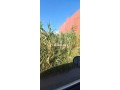 terrain-villa-a-vendre-a-florida-629-m2-small-1
