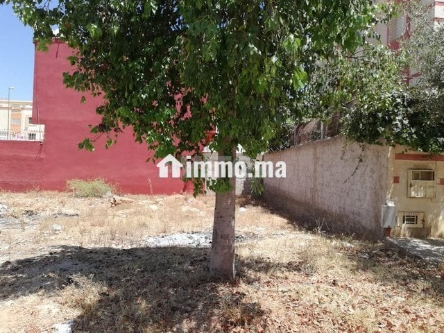 قطعة ارضية مميزة لفيلا 268م. وسلان - Vente Immobilier - Meknes - photo 1