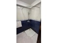 appartement-confort-et-lumineux-small-12
