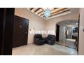 appartement-confort-et-lumineux-small-3