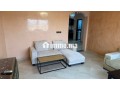 appartement-confort-et-lumineux-small-5