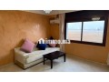 appartement-confort-et-lumineux-small-6