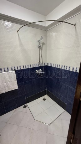 appartement-confort-et-lumineux-big-12