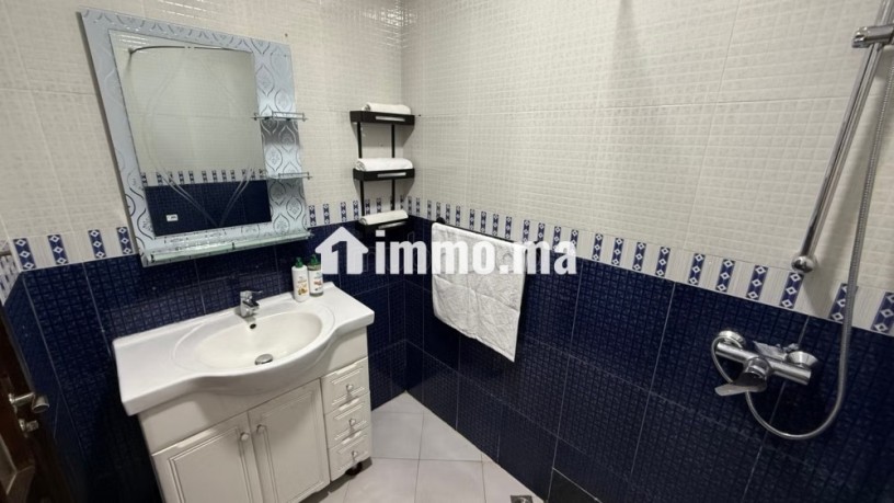 appartement-confort-et-lumineux-big-13