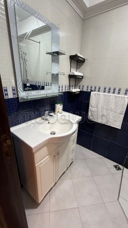 appartement-confort-et-lumineux-big-14