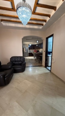 appartement-confort-et-lumineux-big-2