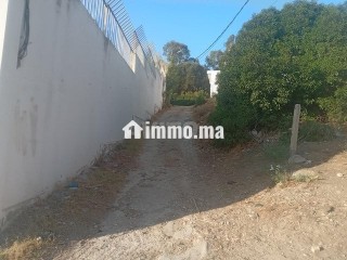 مغايرطريق اشقر - Terrain à vendre - Tanger