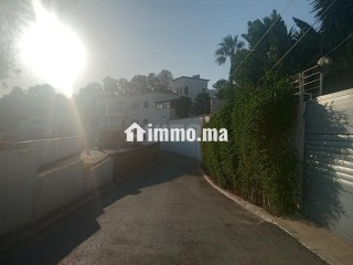 مغايرطريق اشقر - Terrain à vendre - Tanger