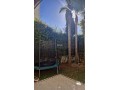 a-vendre-villa-400m2-aindiab-extension-small-5