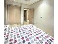 appartement-a-louer-a-palmier-2-grandes-pieces-meuble-small-4