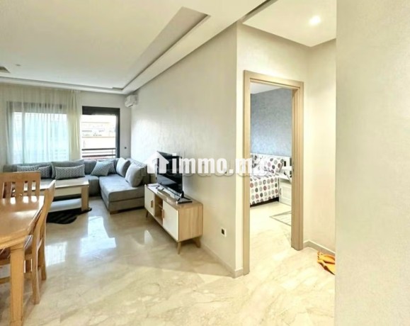 appartement-a-louer-a-palmier-2-grandes-pieces-meuble-big-2
