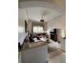 magnifique-appartement-small-0