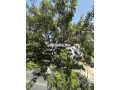 a-louer-170m2-3-chambres-haut-agdal-dernier-etage-small-11