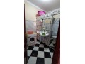 shk-llkraaa-alyomy-small-5