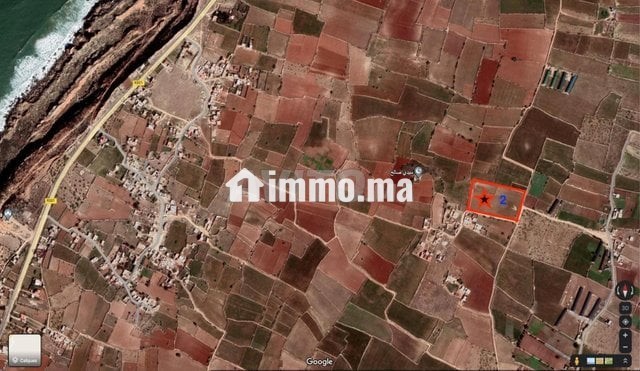 ارض فلاحية للبيع طريق لالة فاطنة - Vente Immobilier - Safi - photo 1
