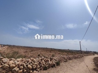 ارض فلاحية للبيع طريق لالة فاطنة - Terrain à vendre - Safi