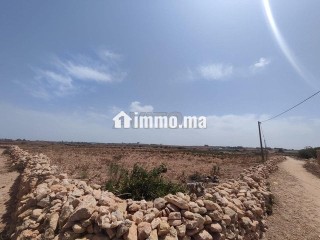 ارض فلاحية للبيع طريق لالة فاطنة - Terrain à vendre - Safi