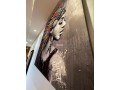 magnifique-appartement-a-louer-lhivernage-small-12