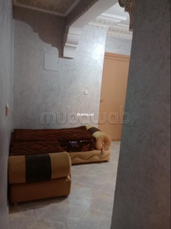 appartements-propres-et-ensoleilles-a-louer-big-4