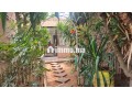 villa-a-cote-de-romandie-1-small-7