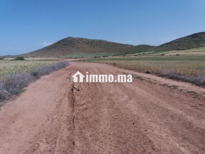 Terrain à vendre 76 hectares Borrous Marrakech - Vente Immobilier - Marrakech - photo 4