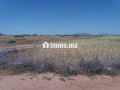 terrain-a-vendre-76-hectares-borrous-marrakech-small-0