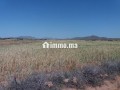 terrain-a-vendre-76-hectares-borrous-marrakech-small-4