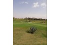 terrain-a-vendre-76-hectares-borrous-marrakech-small-5