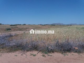 terrain-a-vendre-76-hectares-borrous-marrakech