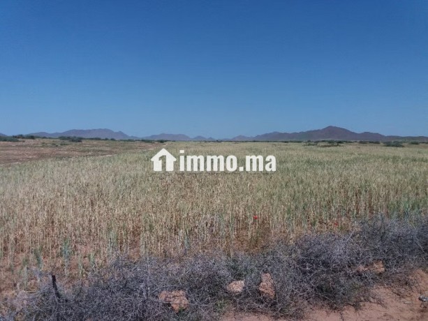 terrain-a-vendre-76-hectares-borrous-marrakech-big-4