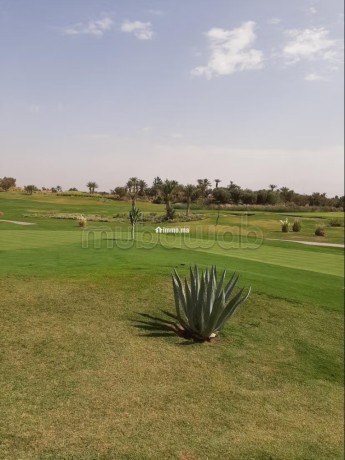 terrain-a-vendre-76-hectares-borrous-marrakech-big-5