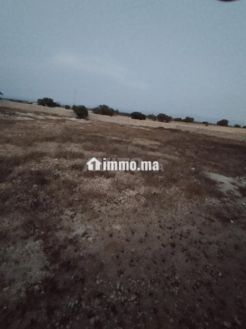 ارض فلاحية - Vente Immobilier - Essaouira - photo 1
