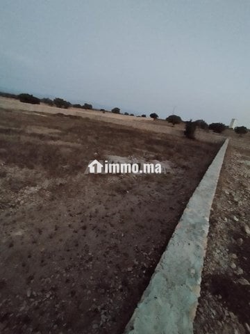 ارض فلاحية - Vente Immobilier - Essaouira - photo 2