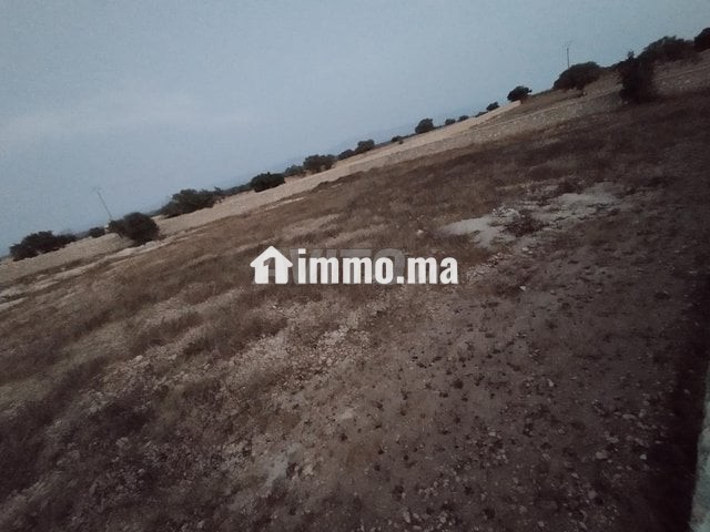 ارض فلاحية - Vente Immobilier - Essaouira - photo 4