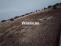 ard-flahy-small-3