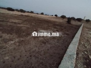 ارض فلاحية - Terrain à vendre - Essaouira