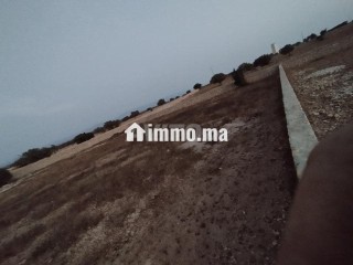 ارض فلاحية - Terrain à vendre - Essaouira