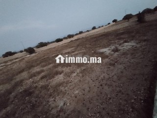 ارض فلاحية - Terrain à vendre - Essaouira