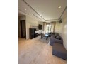 des-appartement-pour-location-small-1